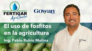 El uso de FOSFITOS en la agricultura  Ing Pablo Rubio Molina  Gowan [upl. by Anonyw]