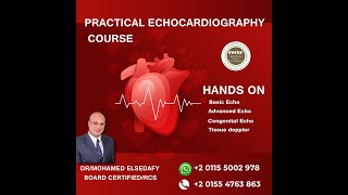 الجمعيهالمصريهللموجاتالصوتيهعلىالقلب cardiology دكتور محمد الصدفى medical courses [upl. by Carrillo355]