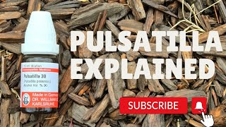 Uses of pulsatilla 30 in Hindi  Best Female Remedy in Homeopathy [upl. by Aitnuahs]