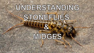 Understanding Stoneflies amp Midges with Tom Rosenbauer [upl. by Nauqet]