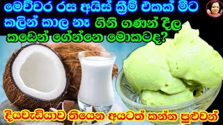 පොල්කිරි මේ තරම් රසයිද කඩේ අයිස්ක්‍රීම් මොකටද මෙහෙම සුපිරියට හදාගන්න Vegan Ice Cream Coconut milk [upl. by Rengia]