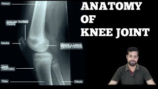 KNEE JOINT ANATOMY [upl. by Fortunato]