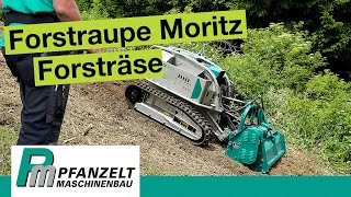 Forstmulcher im Hang Was kann die Moritz Fr50 Raupe als Böschungsmäher [upl. by Areivax]