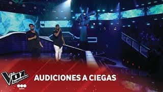 Hermanos Mamonde  quotPiedra y caminoquot  Mercedes Sosa  Audiciones a Ciegas  La Voz Argentina 2018 [upl. by Nymsaj708]