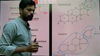 Digoxin Mechanism I Cardiac glycoside I MHSRB Pharmacist I Telangana Pharmacist I [upl. by Shayne]