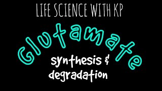 GLUTAMATE Synthesis amp DegradationVlog19 [upl. by Ansela]