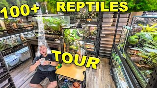 Reptile ROOM Tour March 2024 Over 100 pet reptiles [upl. by Milas]