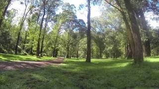 Italian Flat Camping Area East Gippsland North of Dargo VIC [upl. by Akirdnwahs795]