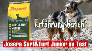 Hundefutter Test  Trockenfutter  Surf amp Turf JUNIOR [upl. by Andrews]