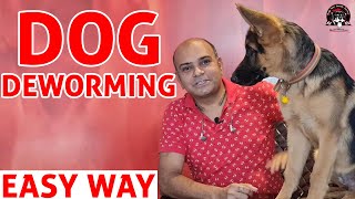 Deworming of DOG  Easy Way to Deworm your Puppy at Home  Dog Care Information  Baadal Bhandaari [upl. by Ameerak]