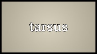 Tarsus Meaning [upl. by Eidnas]