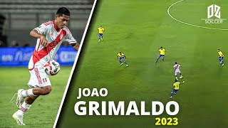 Joao Grimaldo vs Brasil ► DEBUT ● Selección Peruana 2023ᴴᴰ✔ [upl. by Tonya944]