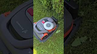 Epizodas 2  vejos paruošimas prieš perimetrą Segway Navimow H3000EVF [upl. by Ilana422]