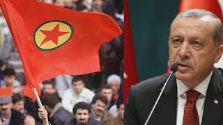 kurzerklärt Erdogan gegen die Kurden  Was steckt hinter dem Konflikt [upl. by Rein]