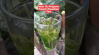 How to Prepare Pansit Pansitan Tea pansitpansitantea [upl. by Atled]