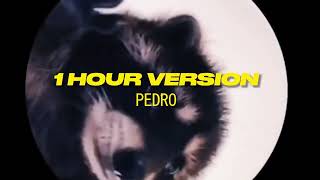 PEDRO  Raffaella Carrà Remix  1 HOUR VERSION TikTok Trends 2024 [upl. by Catima]