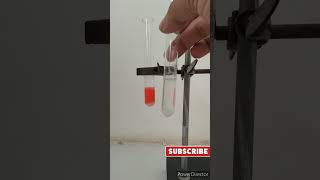 Reaction between potassium iodide and mercuric chlorideshortsfeed [upl. by Veronike]