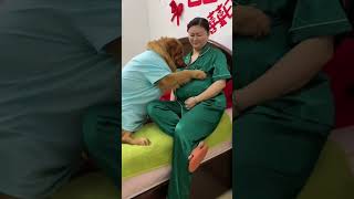 Does anyone in the family know what this means Pregnancy Couple Cute pet debut plan Maternity [upl. by Arodoet]