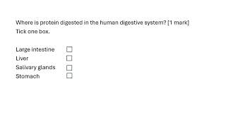 Where is protein digested [upl. by Westleigh]