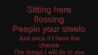 Ginuwine Pony Lyrics on screen [upl. by Brendan]