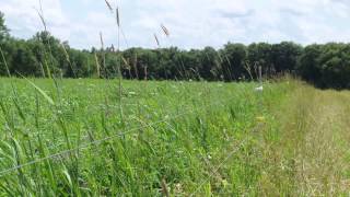 Pasture Soil Health Project Russ Wilson  Year 1 [upl. by Adnaerb]