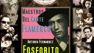 Fosforito  Celos Hasta del AireFandango de Lucena Zángano y Verdial Flamenco Masters [upl. by Rick]