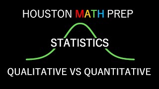 Qualitative vs Quantitative [upl. by Nyleak]