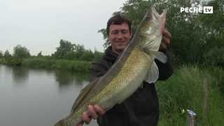 Globe fishing sur lEtang du Romelaëre [upl. by Nonarb]