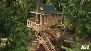 Behind the Build Towering Treetop Teahouse  Treehouse Masters [upl. by Aerdnael448]