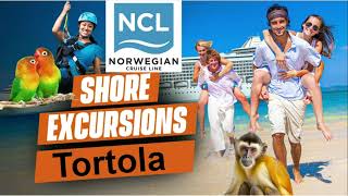 Tortola NCL Shore Excursion Options [upl. by Christan230]