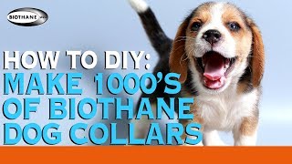 How To Make 1000 BioThane Dog Collars [upl. by Miah150]