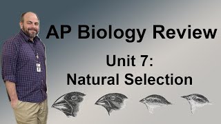 AP Biology  Unit 7 Comprehensive Review [upl. by Kenwood]