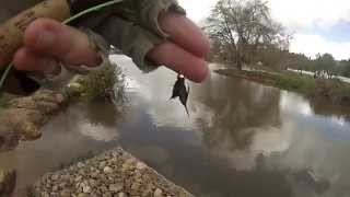 Stalking Carp On Fly With Sean Mills [upl. by Ahsirkal]