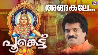 അങ്ങകലെ മലമേലെ  ayyappa devotional song malayalam  mg sreekumar [upl. by Yrtnej]