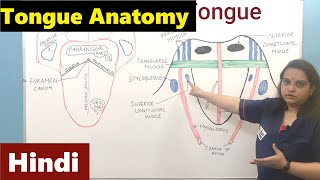 Tongue in Hindi  Accessory digestive organ  Digestive System  Nursing Lecture [upl. by Kimitri]