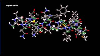 Basic Alpha Helix Beta Sheet Protein Structure [upl. by Noired]