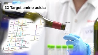 Direct analysis of 33 amino acids in beverages by LCMSMS [upl. by Kamillah]