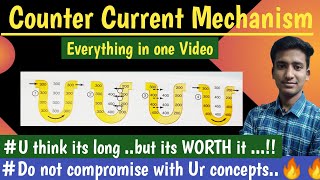 Counter Current Mechanism Concentration of Urine  Renal Physiology  hindi  Ashish Agrawal [upl. by Akcir]