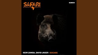 Bocare David Jager Remix [upl. by Ameehsat]