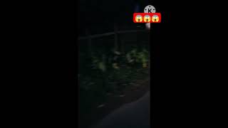 Kitna sannata jagah hai😱😱😱 shortvideo😱😱😱🫣 [upl. by Huba236]