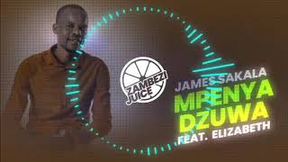 James Sakala  Mpenya Dzuwa Feat Elizabeth  Zambezi Juice [upl. by Luzader]