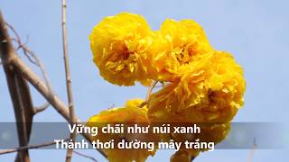 ✳ 5 bài THIỀN CA LÀNG MAI có Lyrics hình Làng Mai tuyệt đẹp giúp bạn THẢNH THƠI AN VUI [upl. by Kapor]