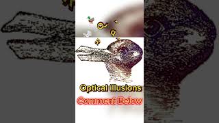 ⚠️ Optical illusion ⚠️ Psychedelic Hypnosis Trippy Video shortsviral shorts short illusions [upl. by Crandell]