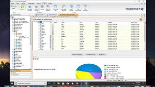 Commvault 101 File Restore [upl. by Aicatan808]