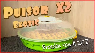 Tips voor het broeden met de puisor X2 broedmachine 🐣 [upl. by Euqinahs526]