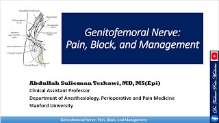 Genitofemoral Nerve Pain Block and Management [upl. by Eixam402]