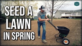 How To Seed A Lawn In Spring  Step by Step Complete Renovation Guide [upl. by Sharpe]