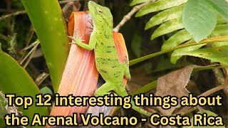 Top 12 interesting things about the Arenal Volcano  Costa Rica  arenal volcano park hikes [upl. by Noled69]