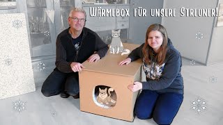 Wärmebox für Katzen bauen  Balkon Garten Tiere [upl. by Ahsimik894]