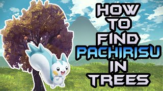 How to Find Pachirisu in Trees  Pokémon Legends Arceus [upl. by Malachy995]